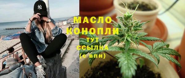 винт Сатка