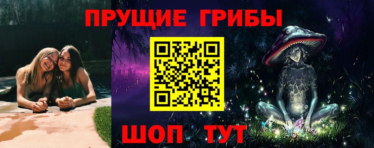 Псилоцибиновые грибы мицелий  Вход с VPN  Канаш 